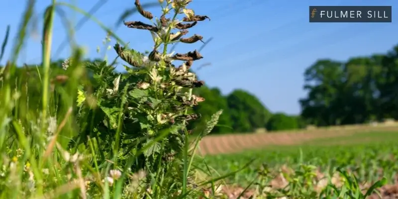 best oklahoma city glyphosate roundup lawyer
